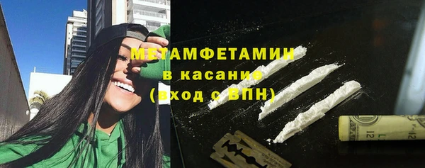 индика Новодвинск