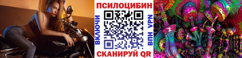 купить наркотики сайты Кораблино Псилоцибиновые грибы прущие грибы