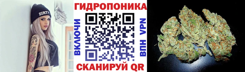 Марихуана OG Kush Кораблино